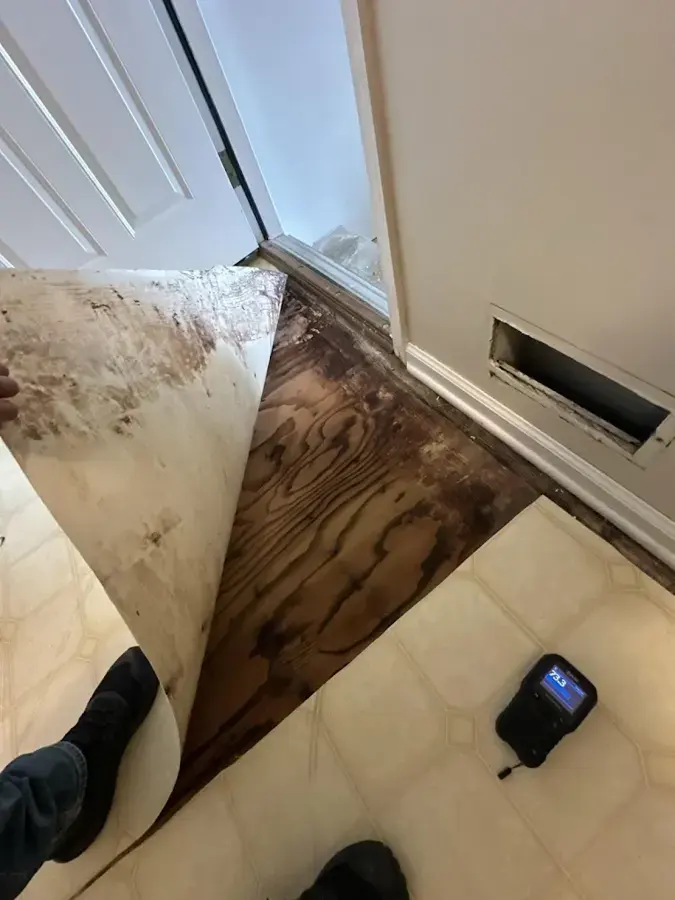 Water-damaged flooring lifted away with a moisture meter beside it
