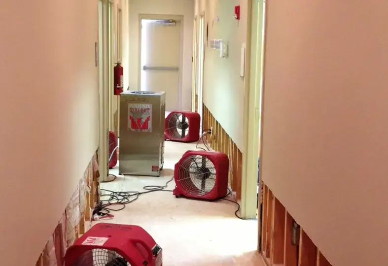 Hallway wall cut open at the bottom with red air movers drying the wall cavities