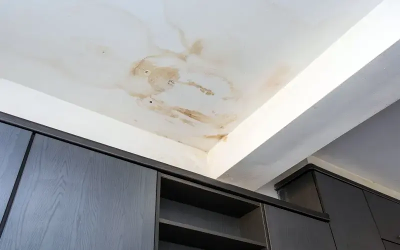 Ceiling Leak Water Damage in Duluth, GA